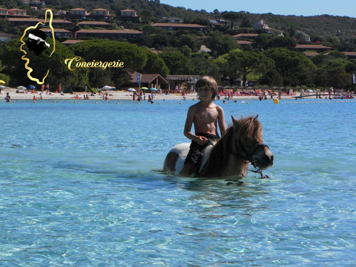 פורטו-וישיו Residence Cala Sultana N62 - 4 Pers Avec Piscine Chauffee- Acces Prive A La Plage De Santa Giulia מראה חיצוני תמונה